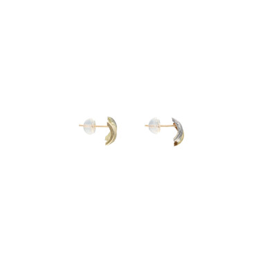 Boucles d'oreilles AÉLYS en Or 375/1000 Bicolore - AE-B40019