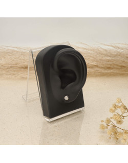 Boucles d'oreilles AÉLYS en Or 375/1000 Blanc et Diamant 0,05 carat - AE-B4DT0025