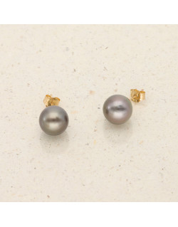 Boucles d'oreilles Rond AÉLYS en Or 375/1000 avec Perle de Tahiti - 10 mm - AE-B4PL0026