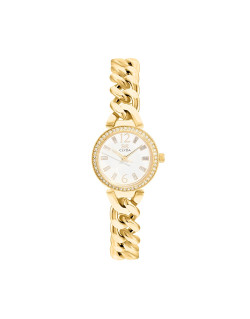 Montre CARROUSEL - CLYDA Femme Bracelet Acier Doré - CLA801DWD